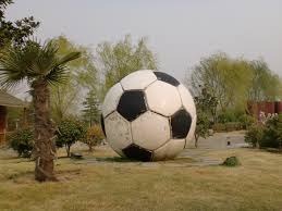 东体：申花有3名外援合同到期，与广岛一战是最后机遇